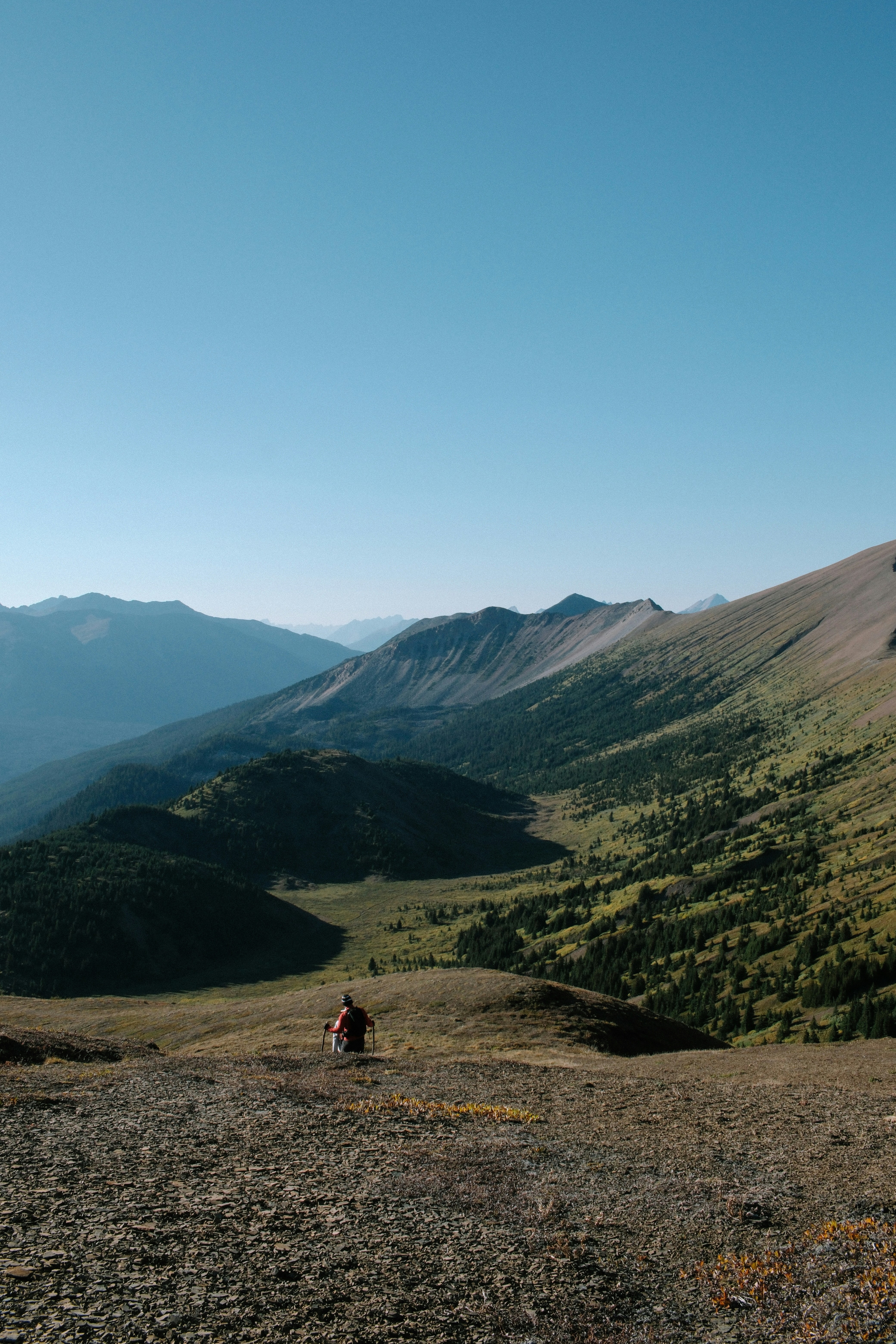 Photo by antoinerault