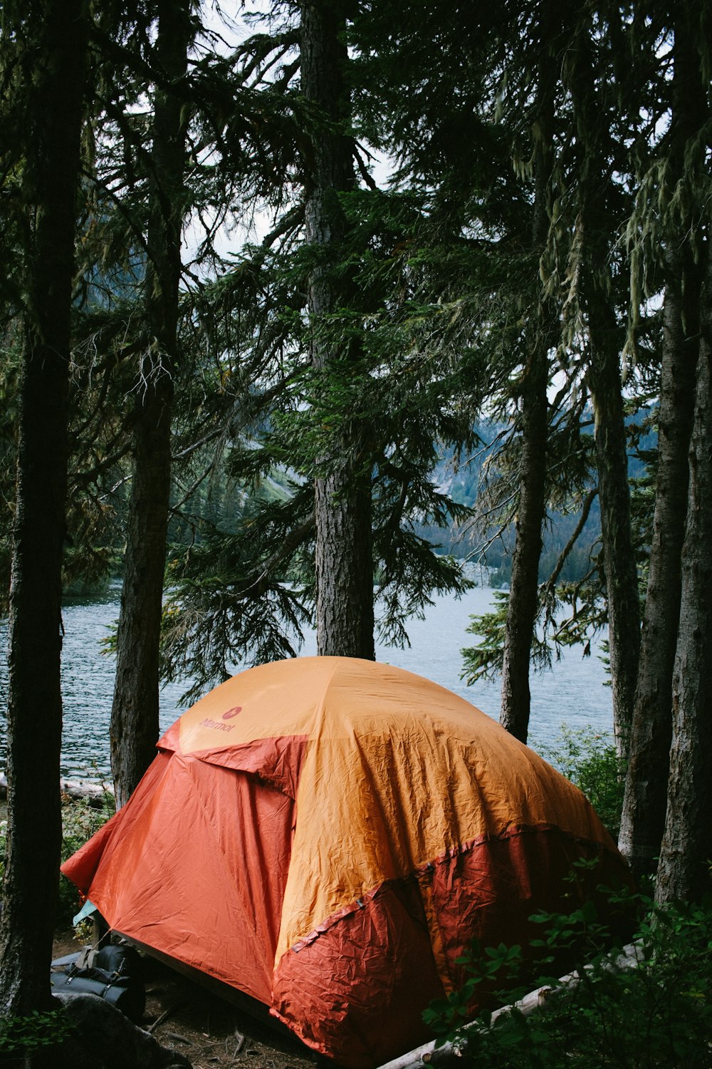 a tent pitched up in the woods by a lake