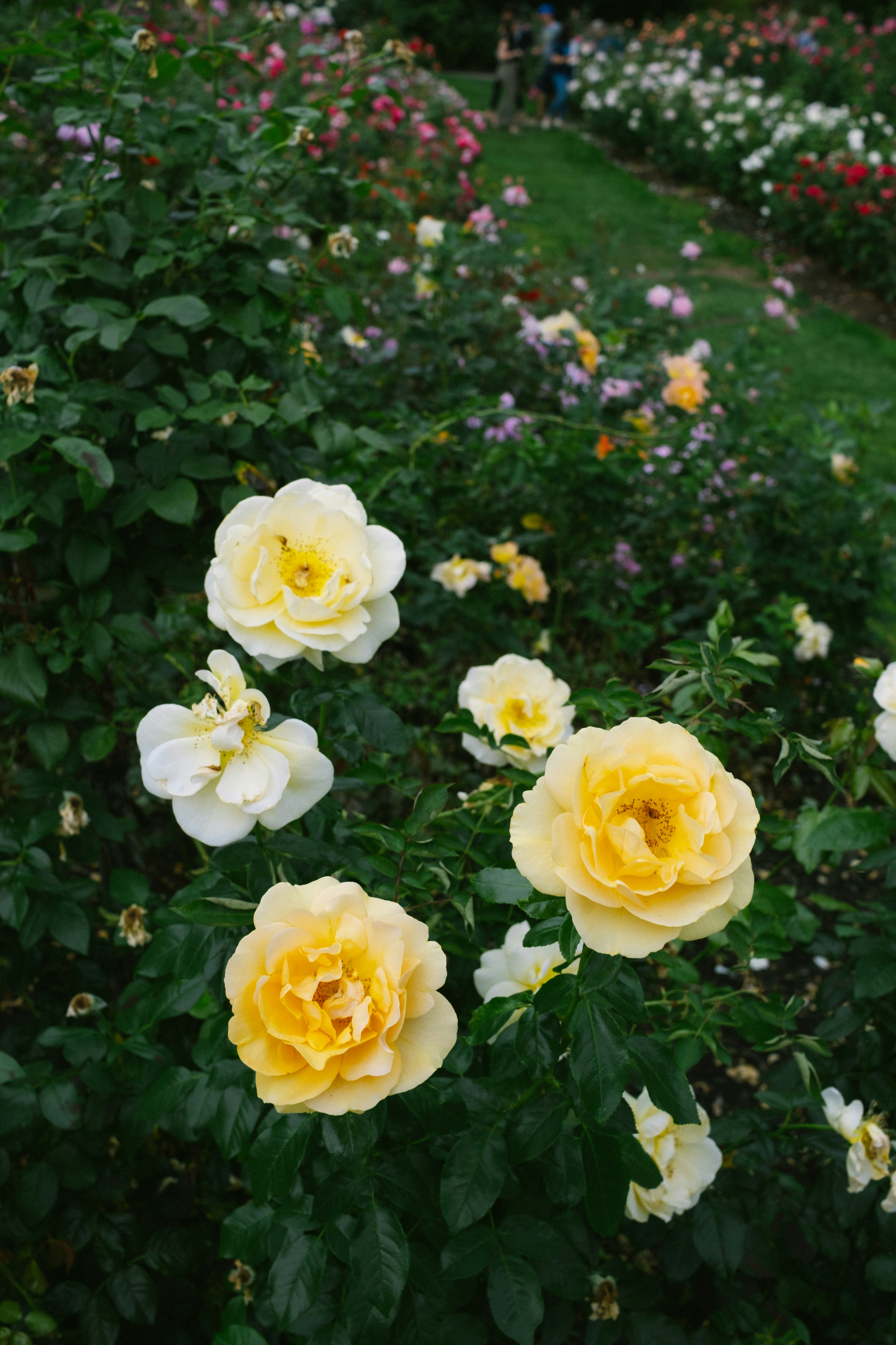 Photo by antoinerault