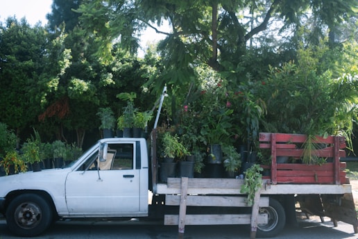 A truck loaded with freshly cut sod rolls through a Connecticut neighborhood.