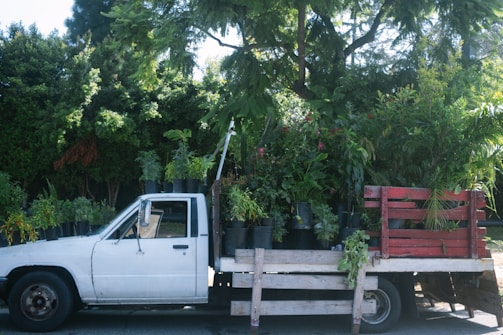 A white pickup truck loaded with a variety of potted plants, including small trees and shrubs, is parked on a street. The truck bed is partially framed with wooden planks painted in red. The lush greenery contrasts with the vehicle, set against a backdrop of tall trees and shrubs under bright daylight.
