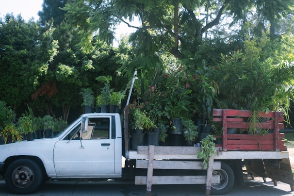 A white pickup truck loaded with a variety of potted plants, including small trees and shrubs, is parked on a street. The truck bed is partially framed with wooden planks painted in red. The lush greenery contrasts with the vehicle, set against a backdrop of tall trees and shrubs under bright daylight.