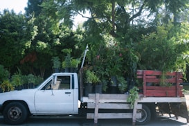 A white pickup truck loaded with a variety of potted plants, including small trees and shrubs, is parked on a street. The truck bed is partially framed with wooden planks painted in red. The lush greenery contrasts with the vehicle, set against a backdrop of tall trees and shrubs under bright daylight.
