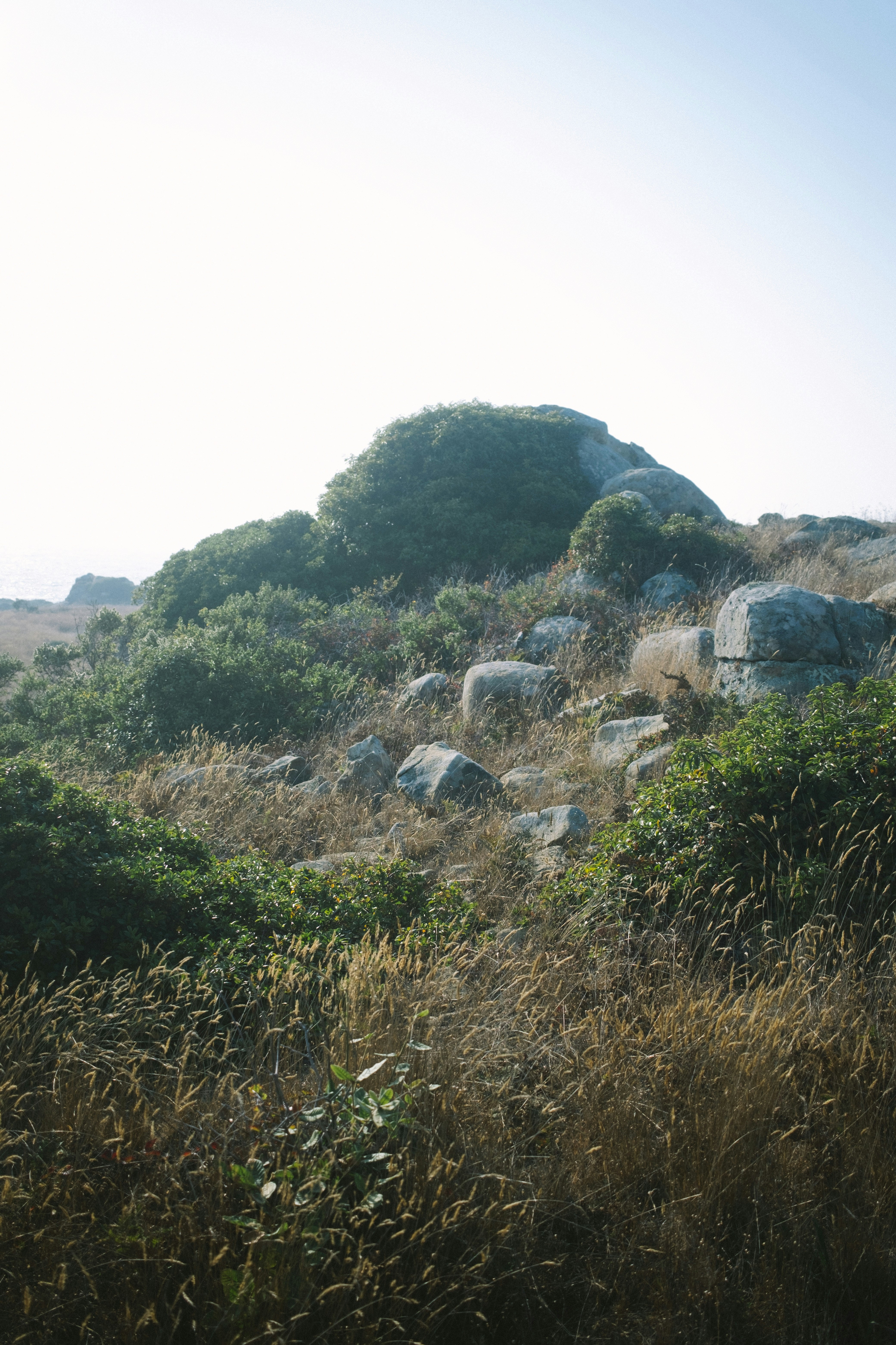 Photo by antoinerault