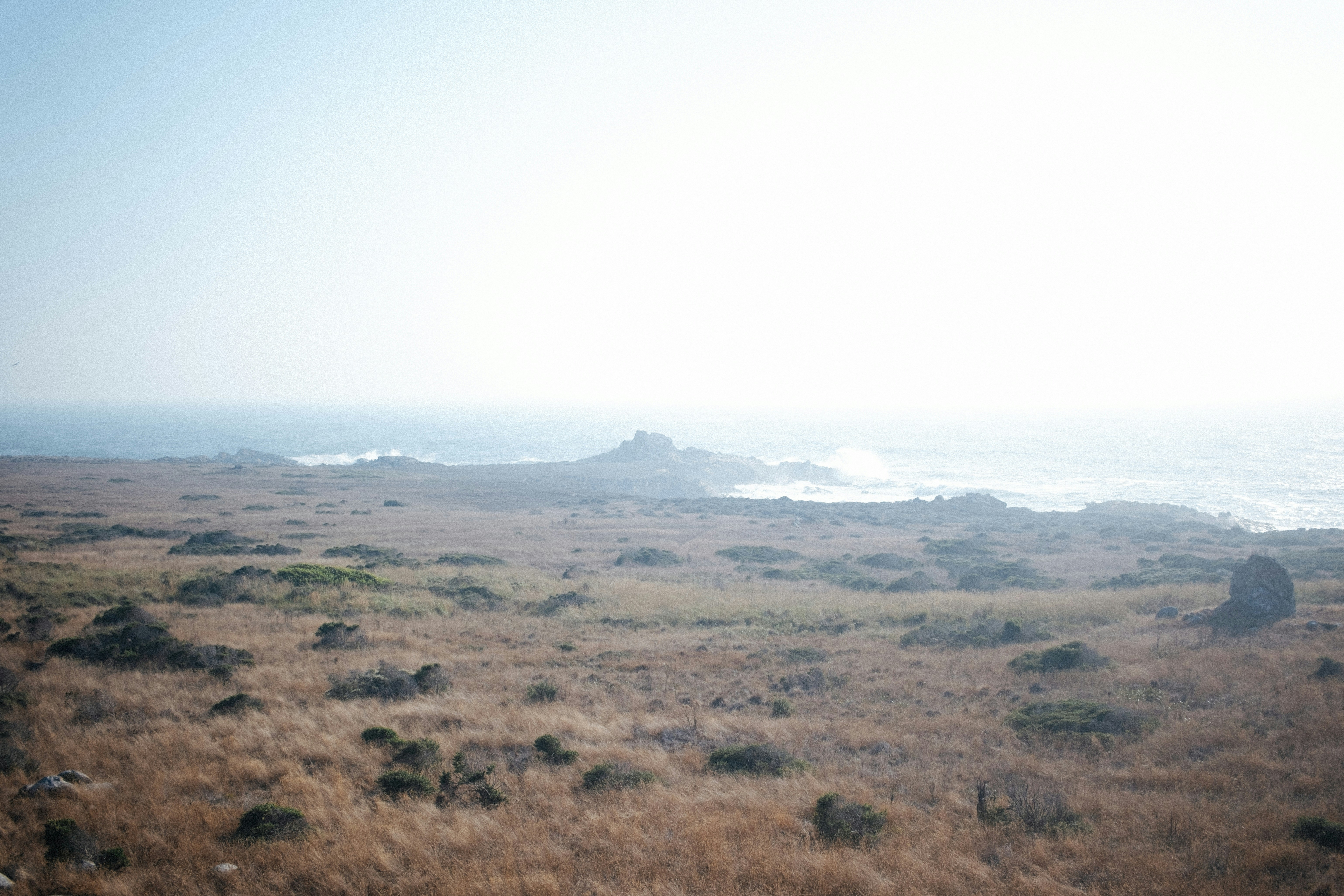 Photo by antoinerault