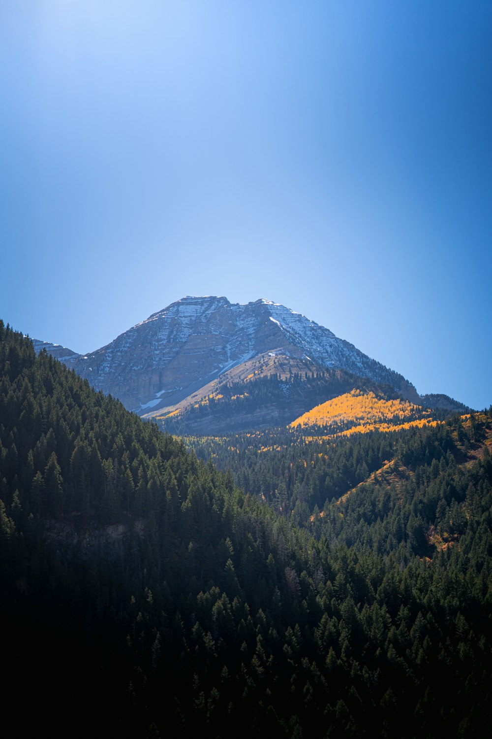 a view of a mountain with trees in the foreground