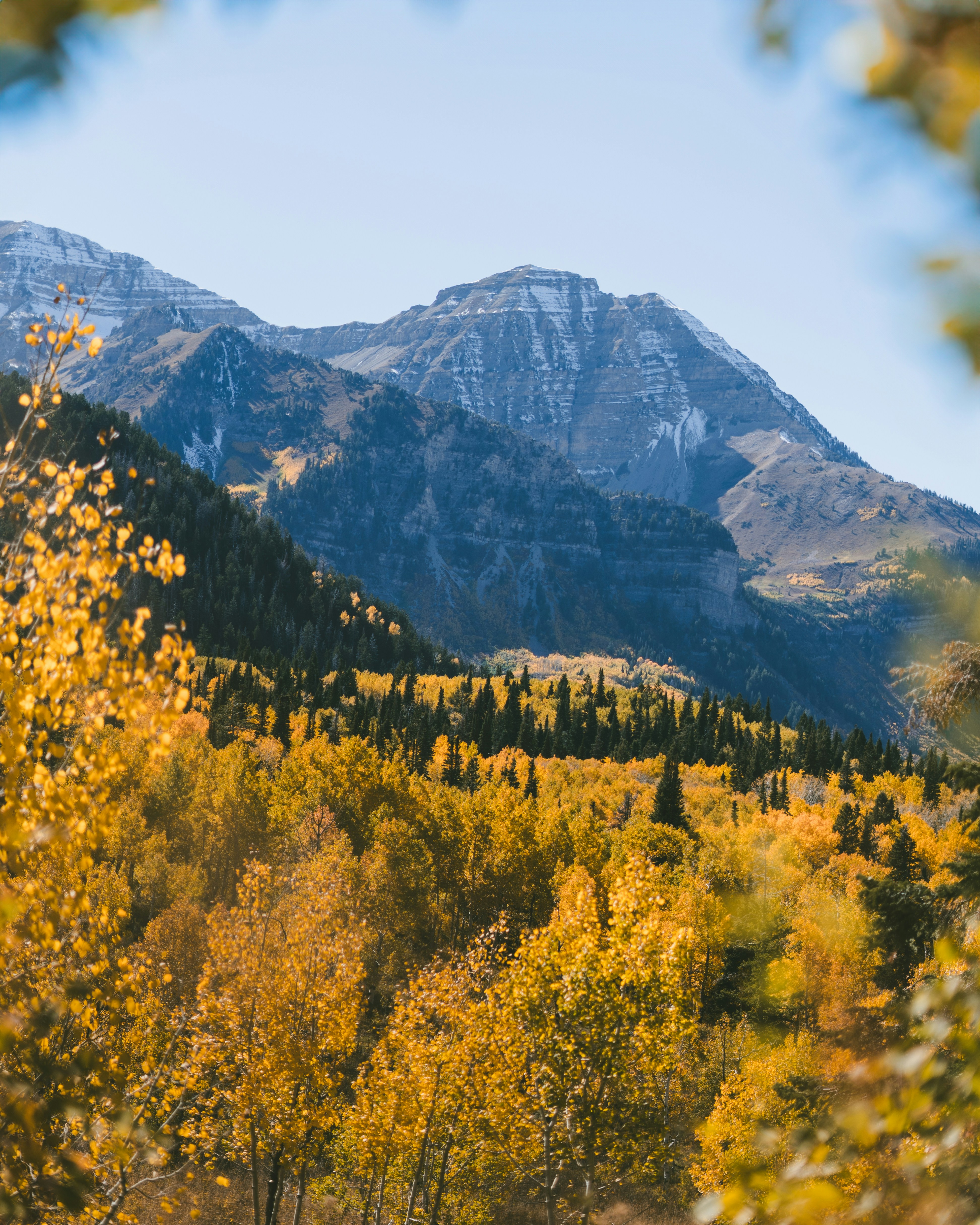 Photo by sharadmbhat