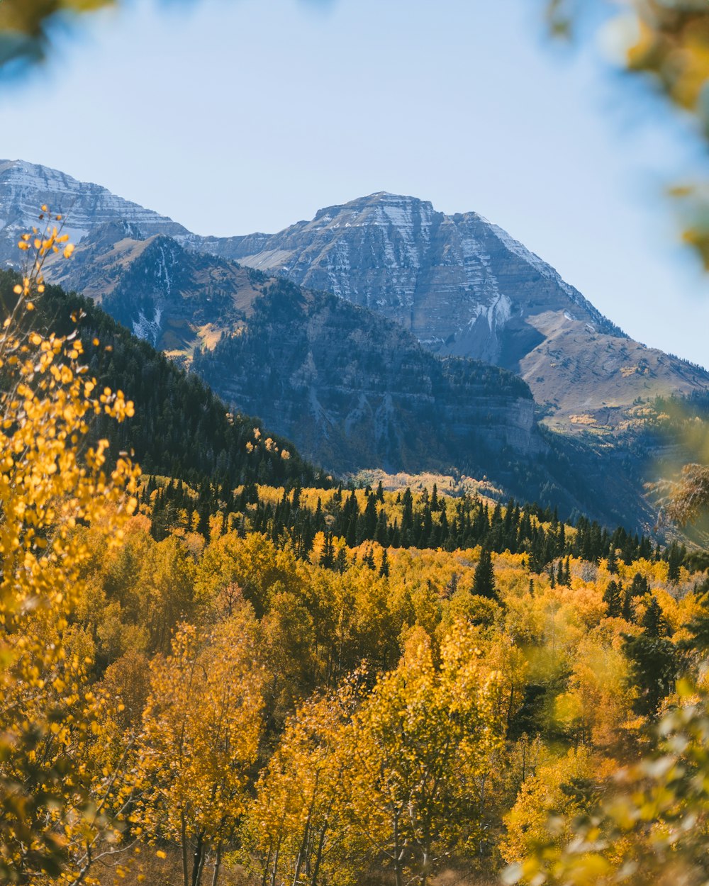 a view of a mountain range with trees in the foreground