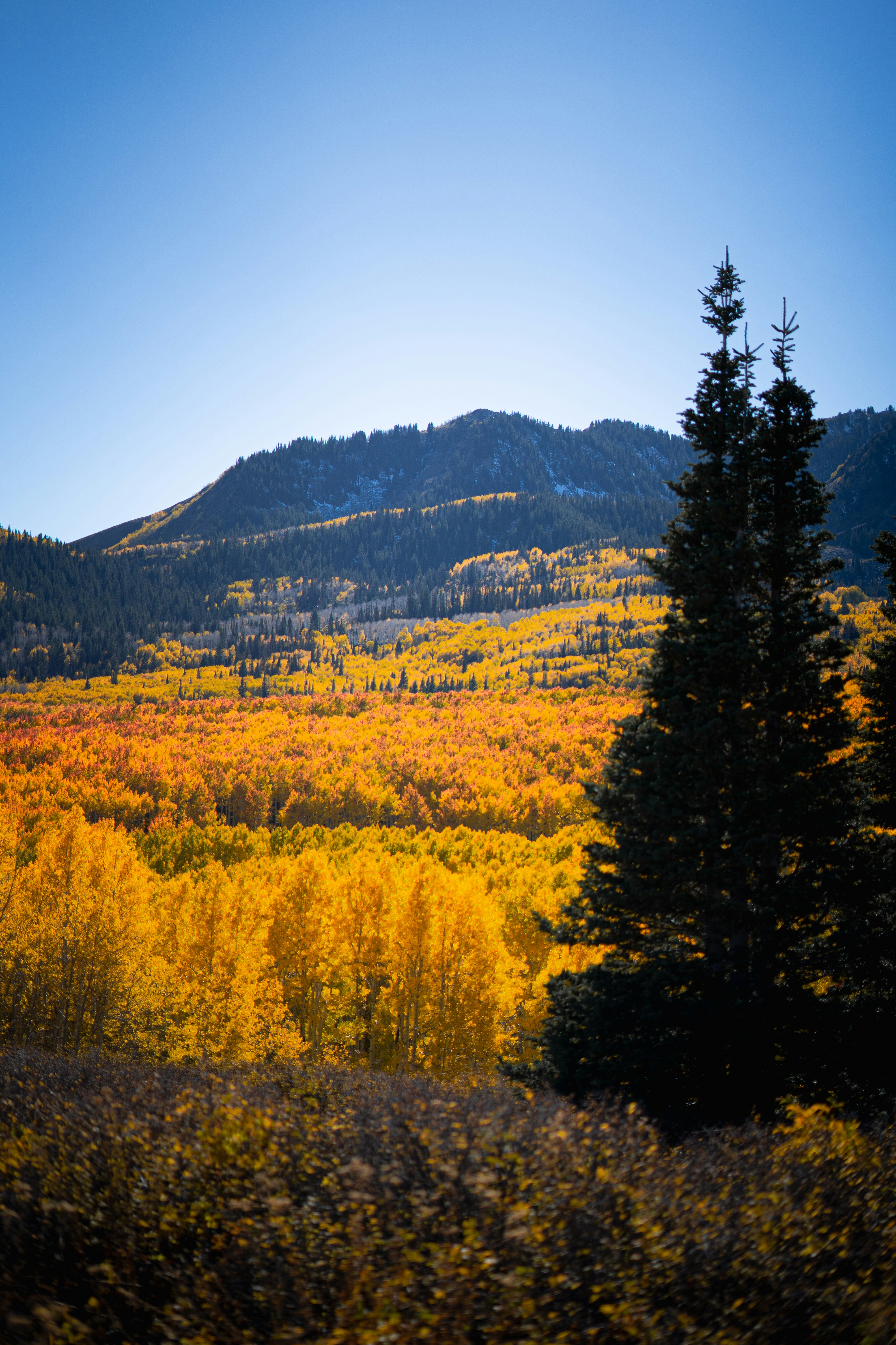 Photo by sharadmbhat