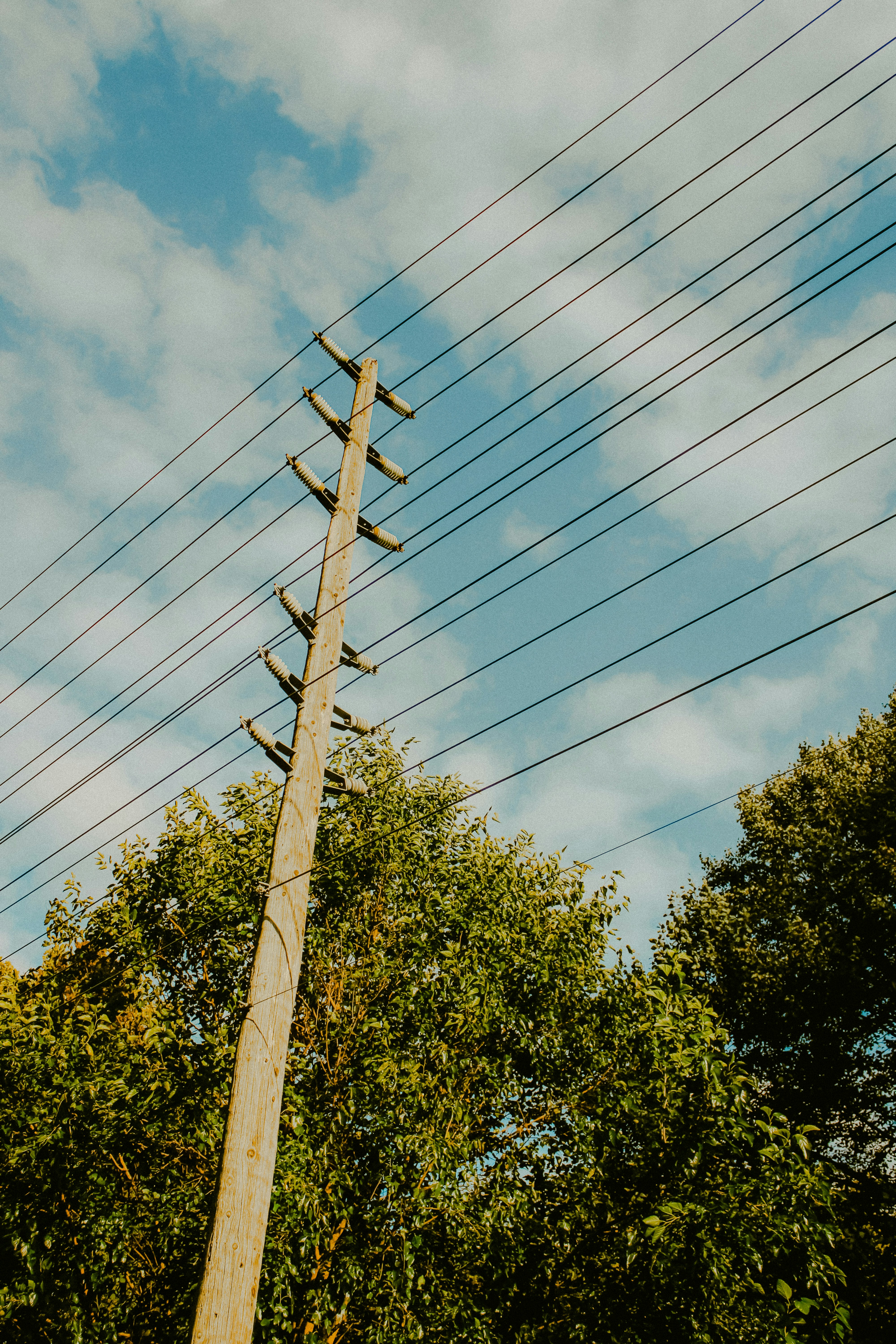 Photo by linusbelanger