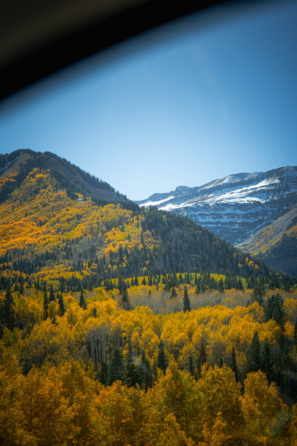 a view of a mountain range with trees in the foreground