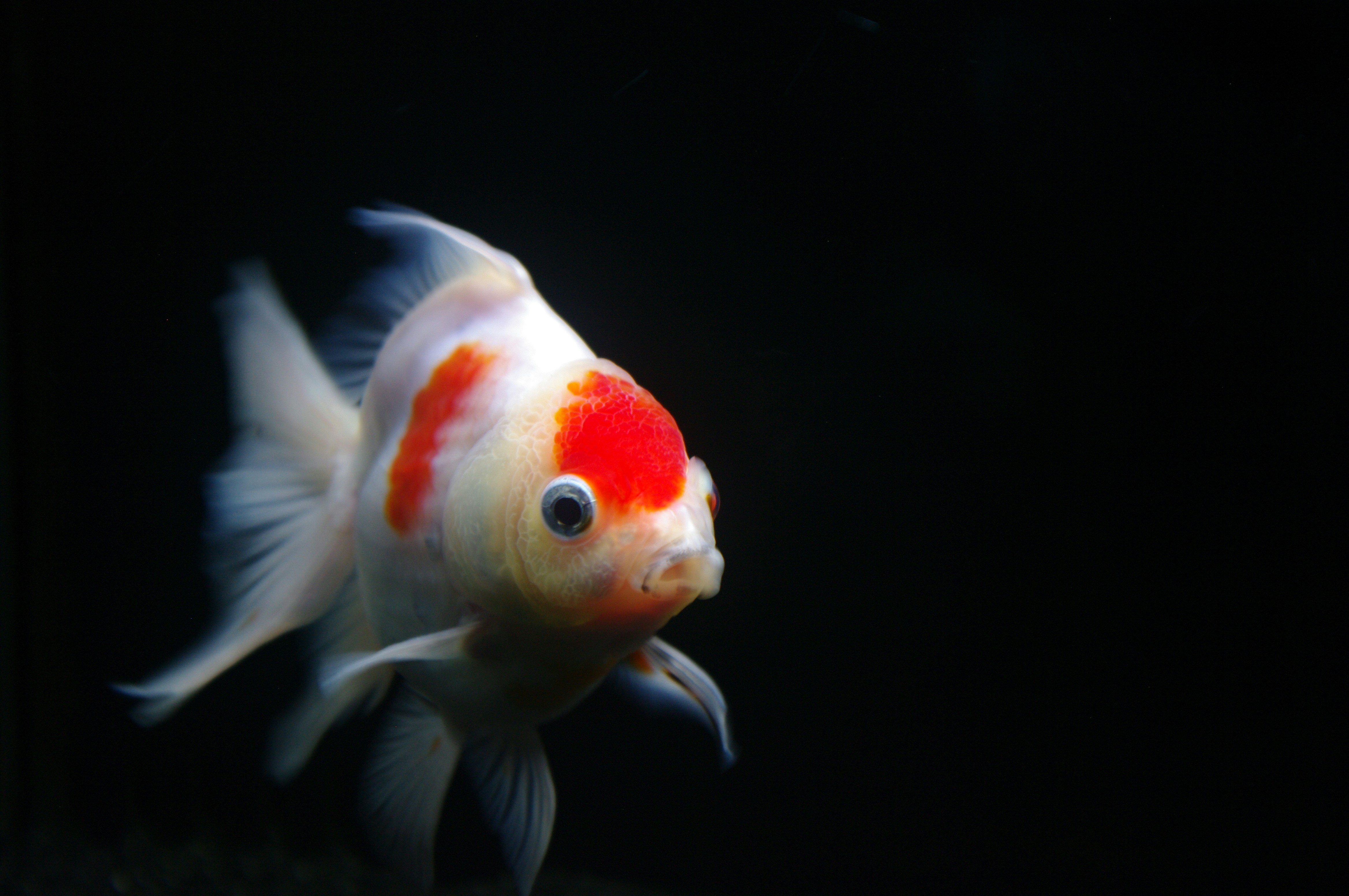 Photo by aliyah_davis