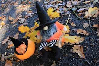 A whimsical doll dressed as a witch sits among fallen autumn leaves on a dark, wet pavement. It wears a tall black hat, has a gray beard, and holds a small broomstick. Beside it, a small pumpkin adorned with a similar witch hat rests among the leaves.