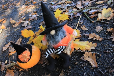 A whimsical doll dressed as a witch sits among fallen autumn leaves on a dark, wet pavement. It wears a tall black hat, has a gray beard, and holds a small broomstick. Beside it, a small pumpkin adorned with a similar witch hat rests among the leaves.