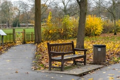 a wooden bench sitting next to a trash can