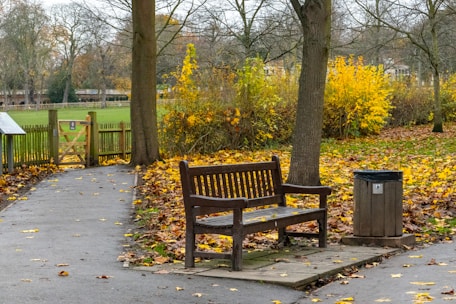 a wooden bench sitting next to a trash can
