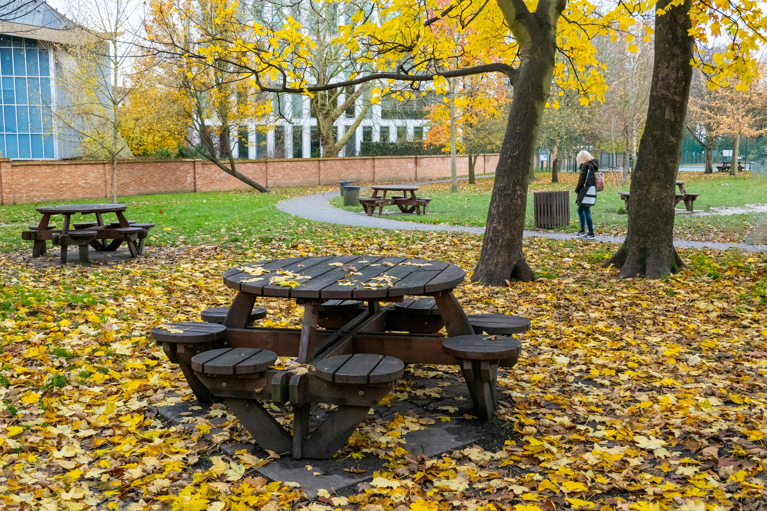 a group of park benches sitting in the middle of a park