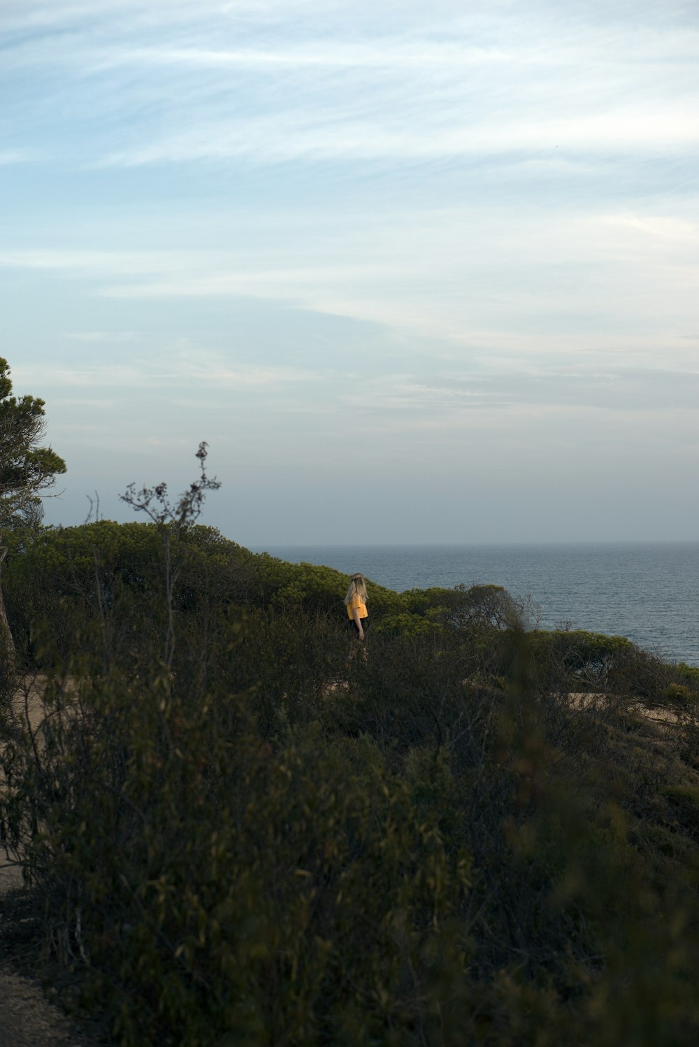 a person standing on top of a hill near the ocean