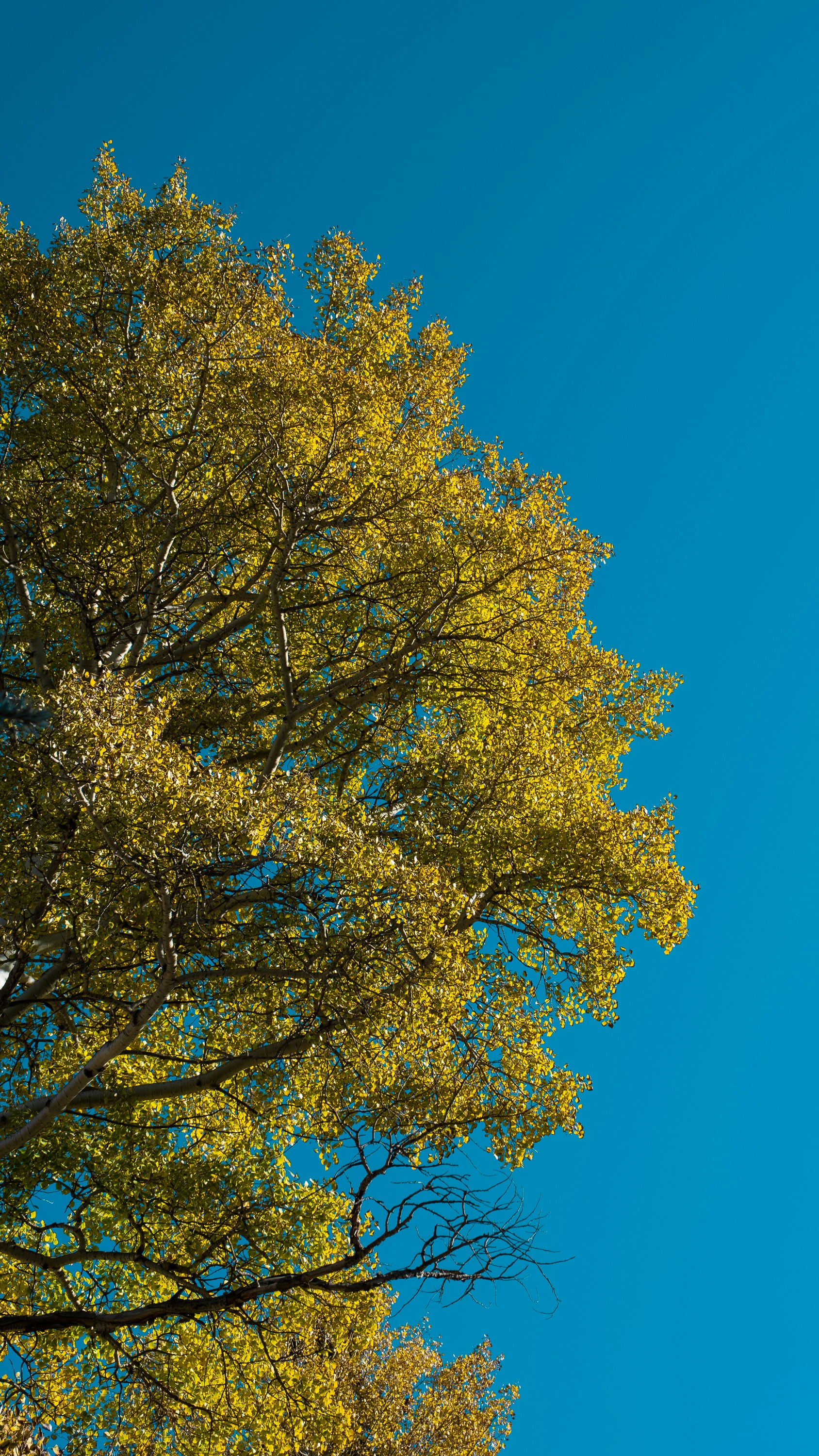 Photo by pixelatelier