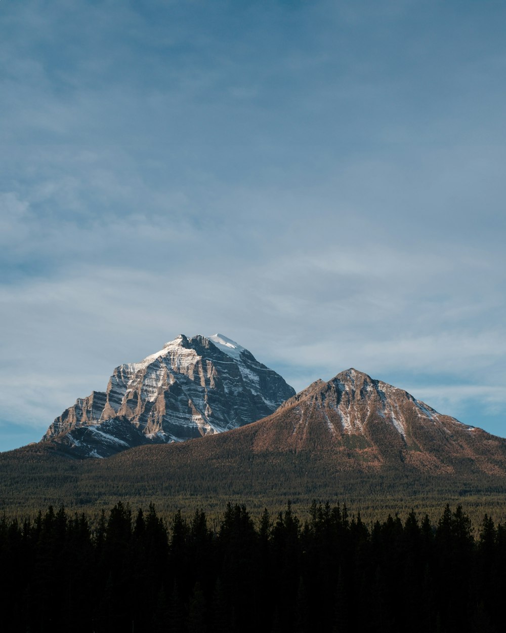 a snow covered mountain with trees in the foreground