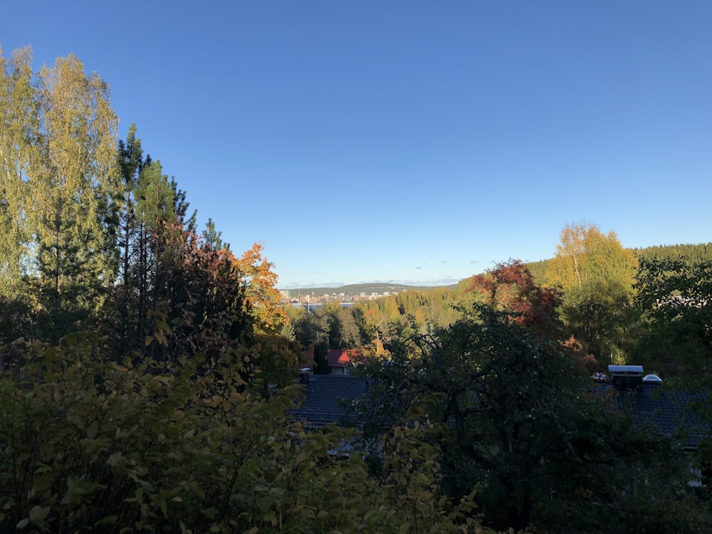 uma vista de uma cidade do topo de uma colina