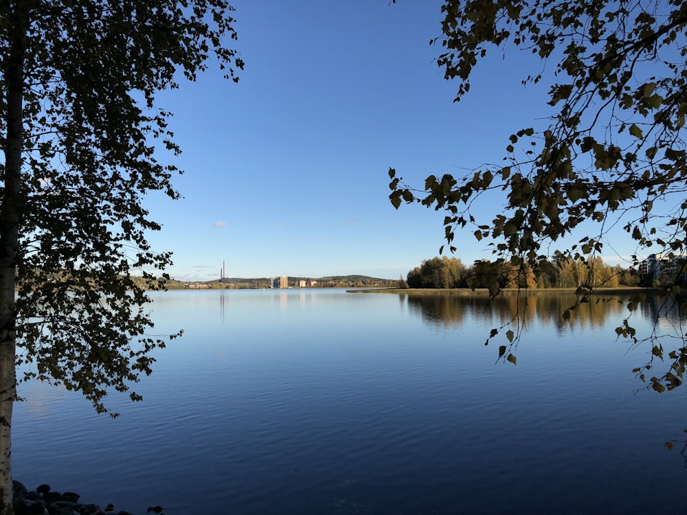 a large body of water surrounded by trees