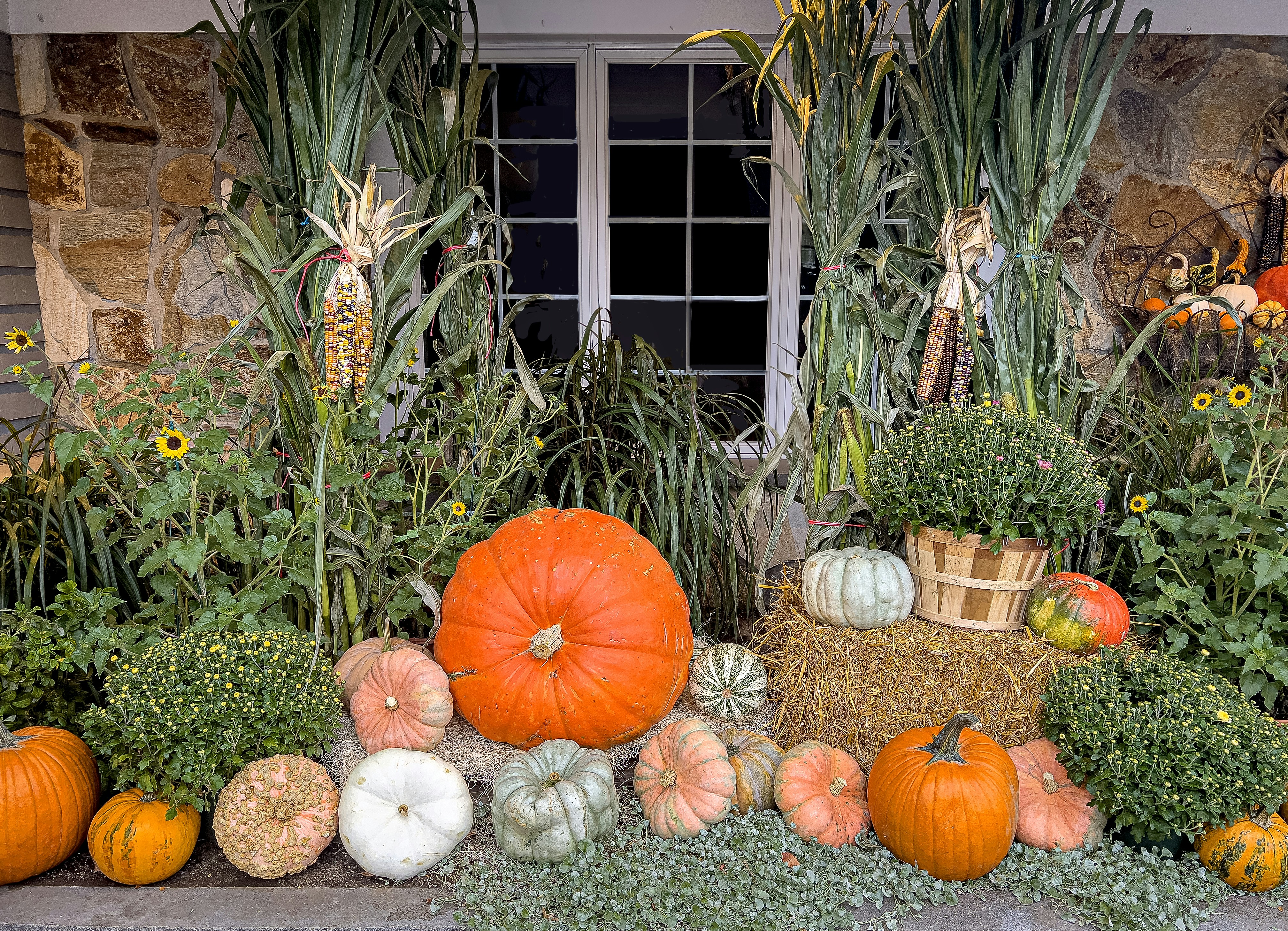 Patch Perfection's image