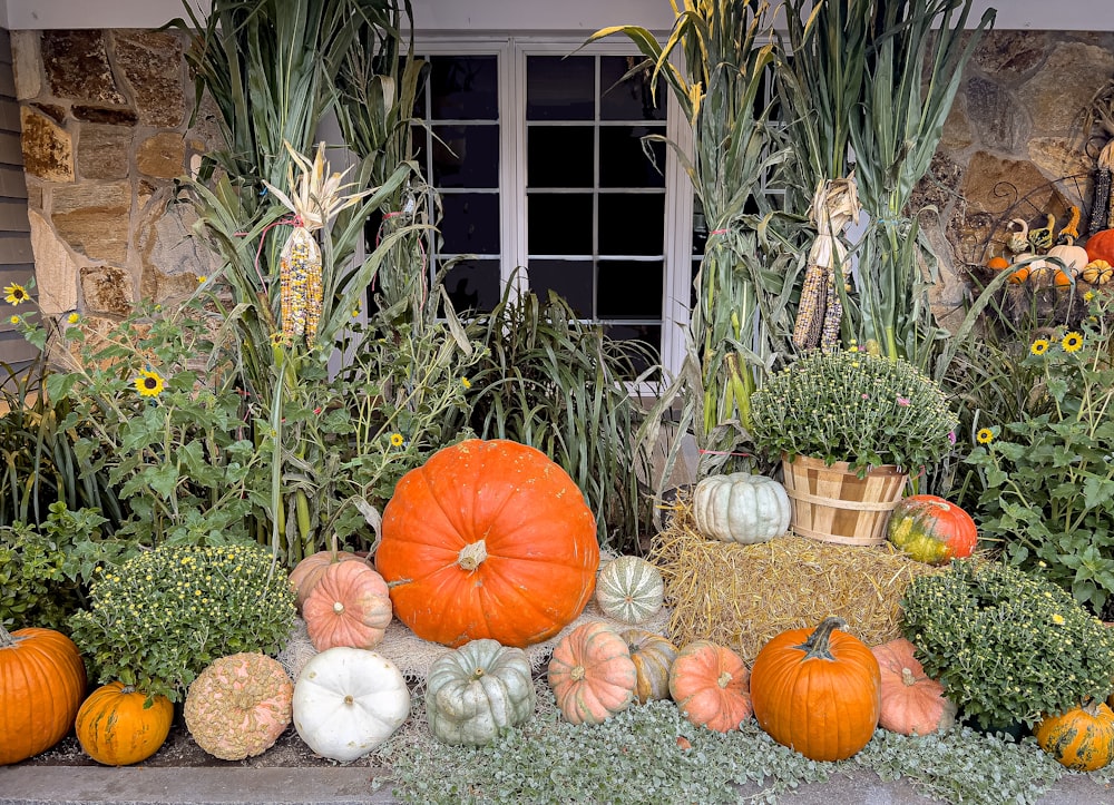 a display of pumpkins and gourds in front of a house