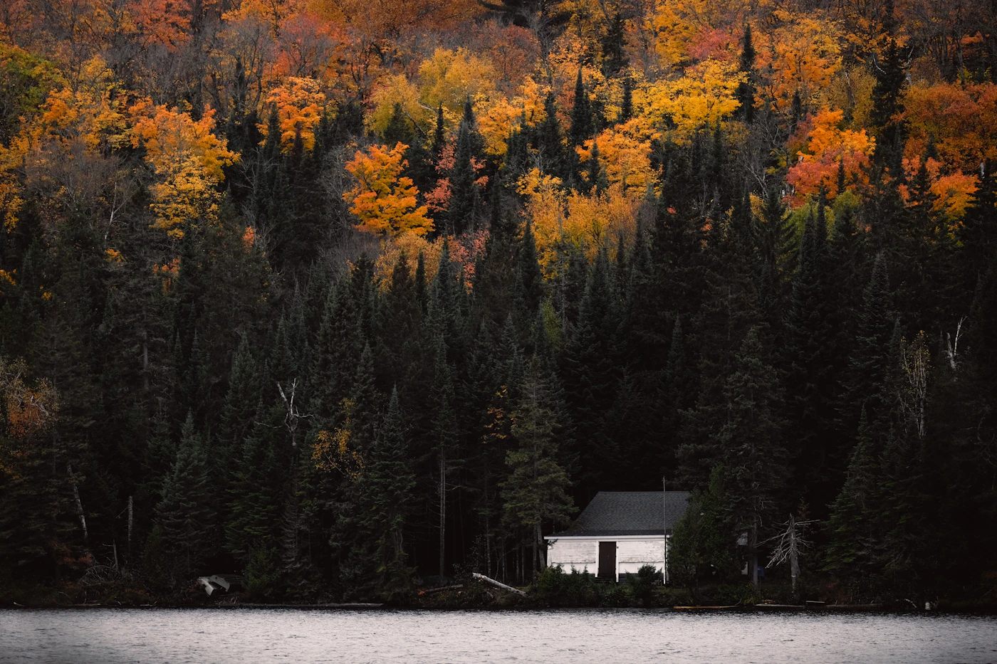 A house on the shore of a calm lake surrounded by green trees in Ontario cottage country