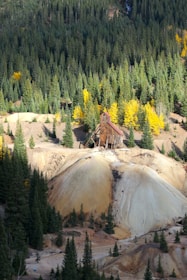 An abandoned wooden mining structure stands in the middle of a forested landscape. Surrounding the structure are tall evergreen trees, with vibrant yellow foliage interspersed throughout the scene. The terrain is rugged with sandy-colored mounds, creating a stark contrast to the dark green trees.