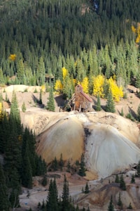 An abandoned wooden mining structure stands in the middle of a forested landscape. Surrounding the structure are tall evergreen trees, with vibrant yellow foliage interspersed throughout the scene. The terrain is rugged with sandy-colored mounds, creating a stark contrast to the dark green trees.