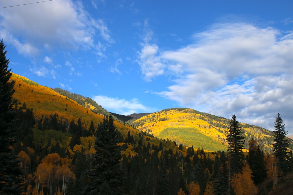 a scenic view of a mountain with trees in the foreground