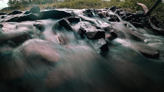 A flowing stream moves over a collection of dark, smooth stones. The motion of the water creates a blurred effect, highlighting the movement of the current. Surrounding the stream are patches of green grass and some trees in the background.
