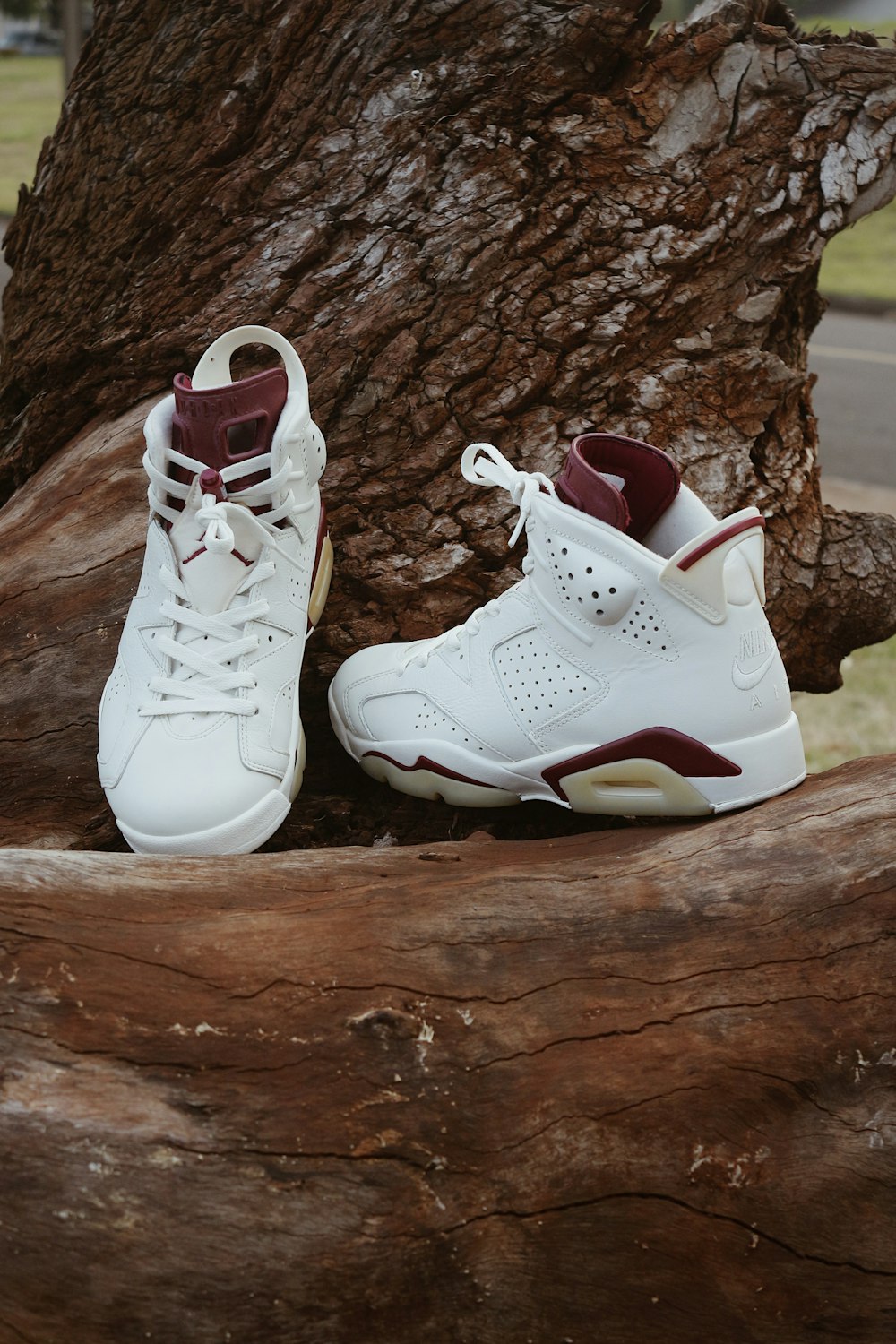 a pair of white shoes sitting on top of a tree branch