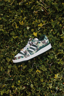 Close-up of rugged army jungle shoes resting on a forest floor with olive leaves scattered around.