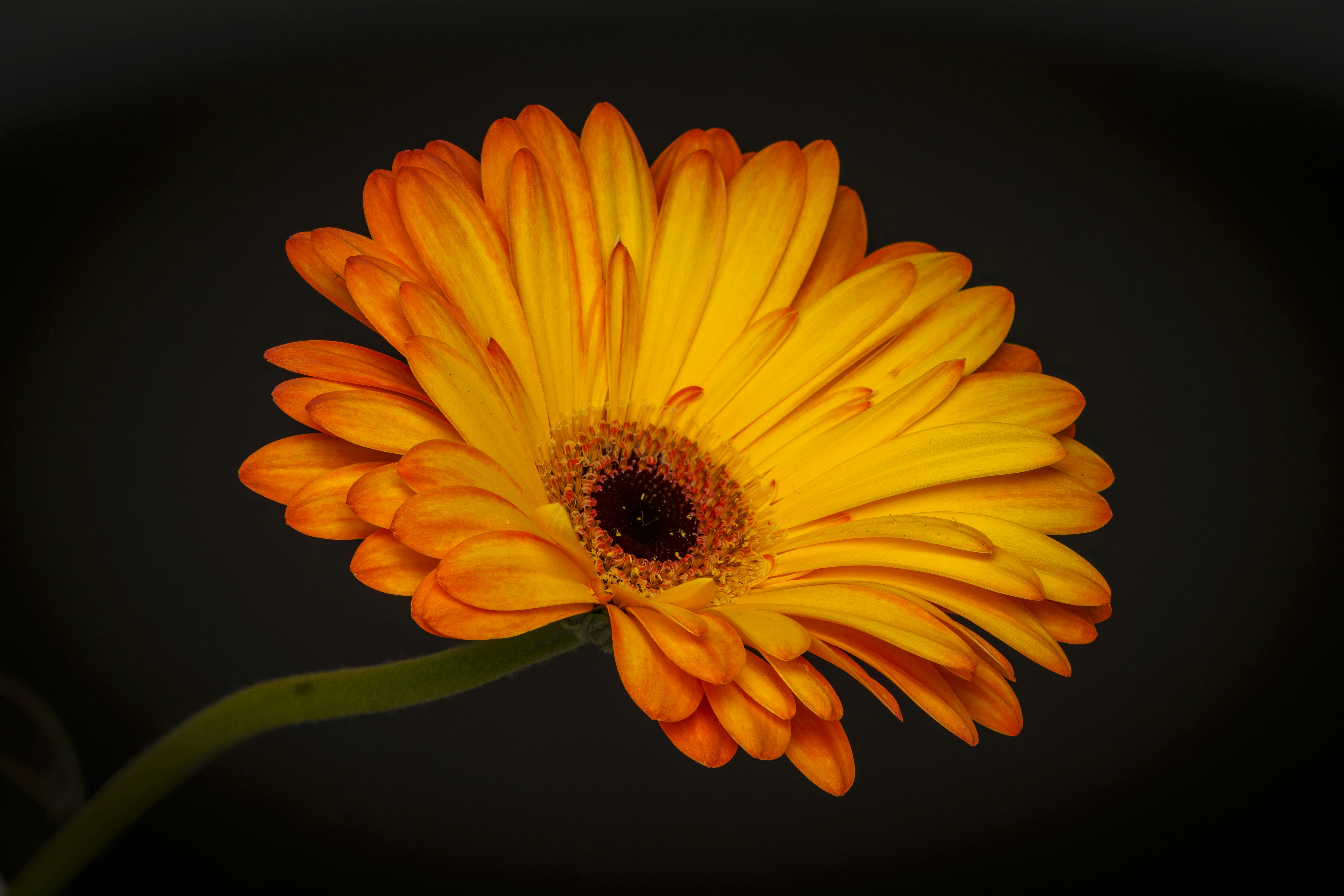 Photo by horst_joachims