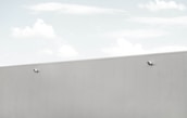A minimalist scene featuring a large, light grey wall with two security cameras attached. The top third of the image shows a pale blue sky with soft, scattered clouds.
