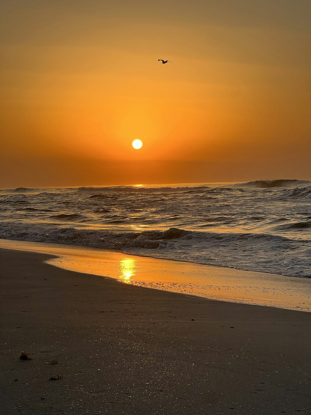 a bird flying over the ocean at sunset