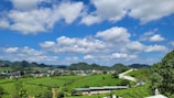 A scenic view of the lush fields in Parsadih village.