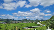Scenic view of a lush rural farm with green fields and distant hills under a blue sky.