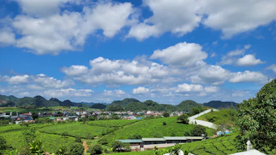 Scenic view of a lush rural farm with green fields and distant hills under a blue sky.
