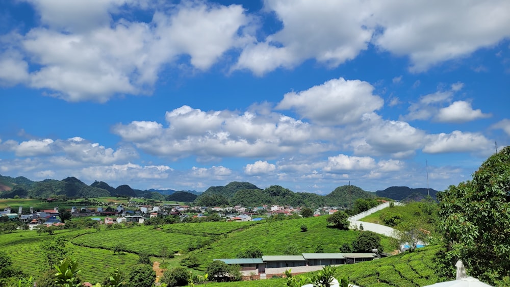 a scenic view of a tea estate in the mountains