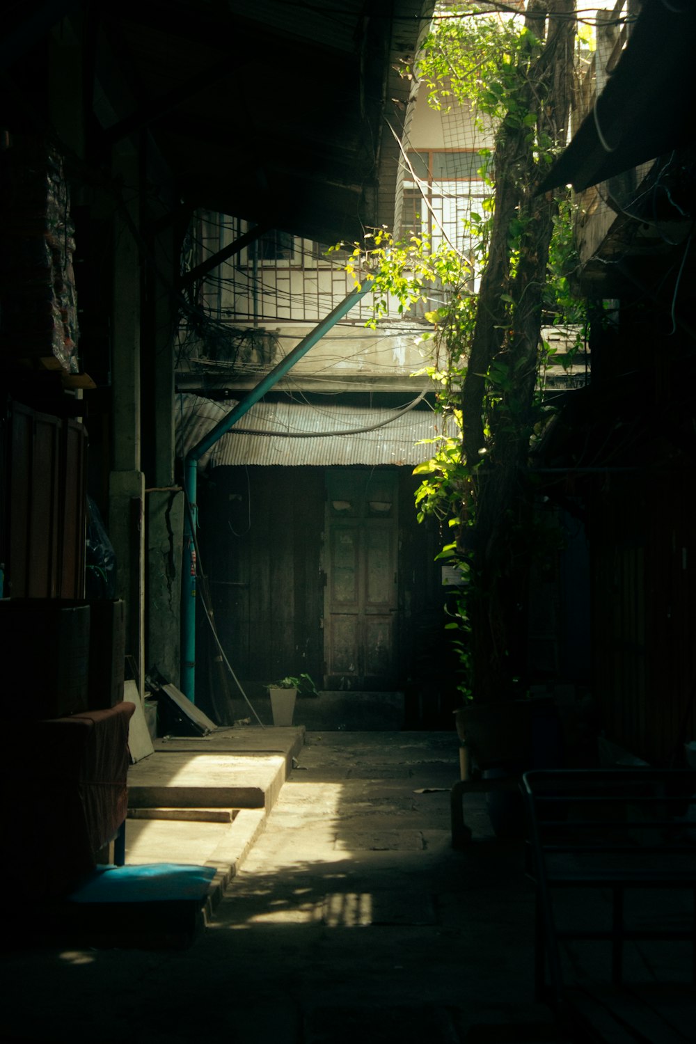 a narrow alley way with a green plant growing on the side of it