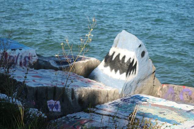 A vibrant shark logo set against a sunny beach backdrop on Marco Island.