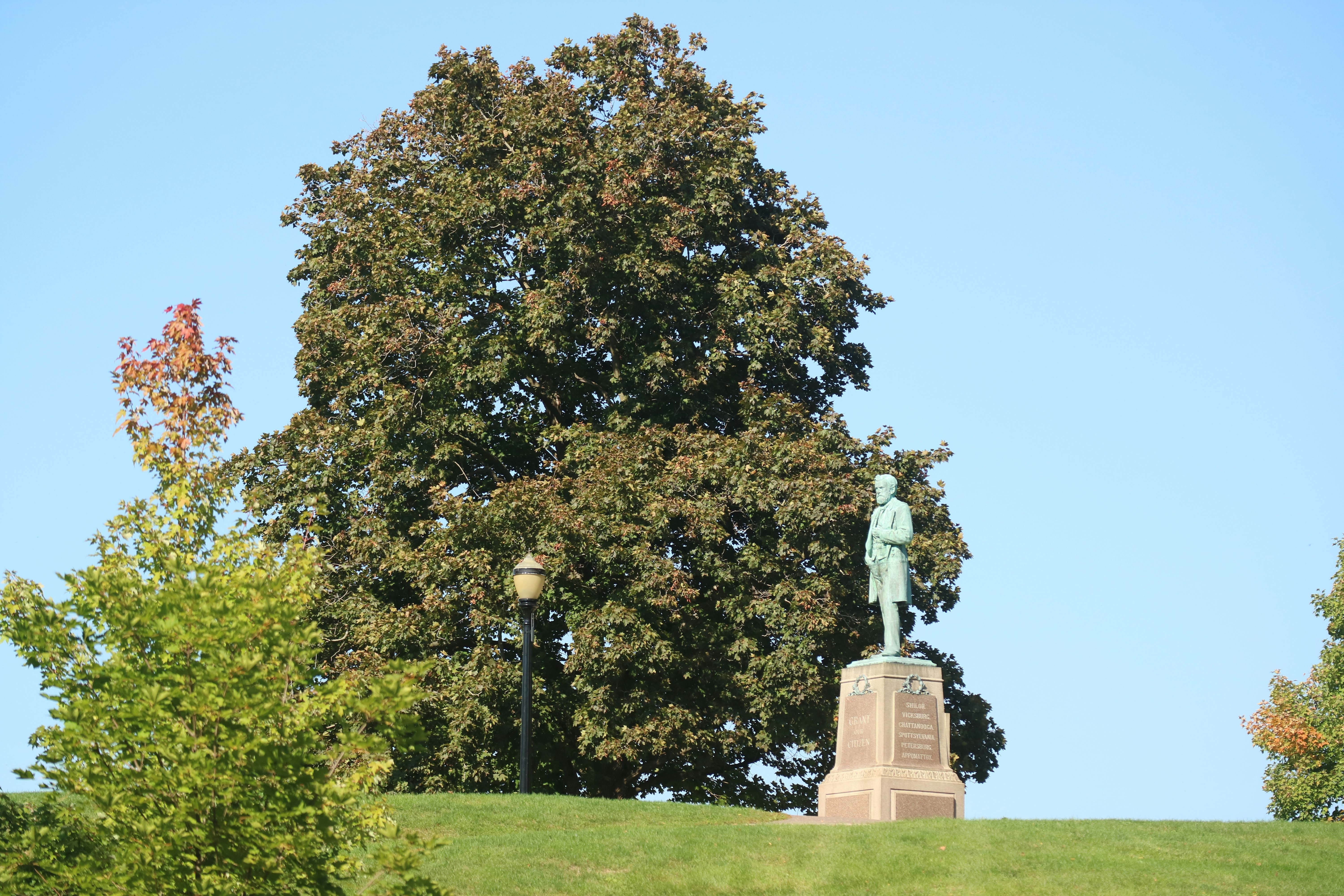 a statue on top of a hill near a tree