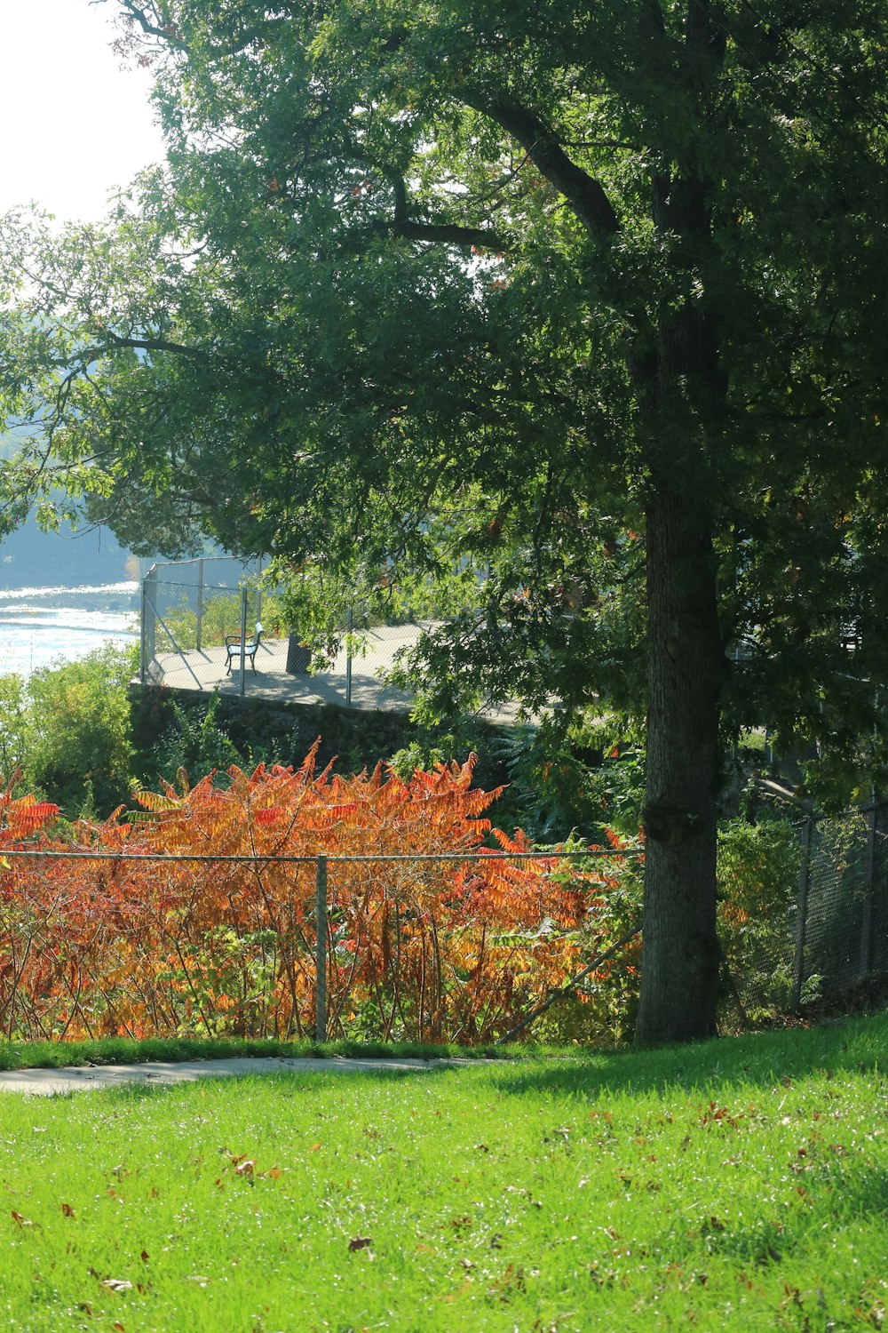 a fenced in area with a bench and trees