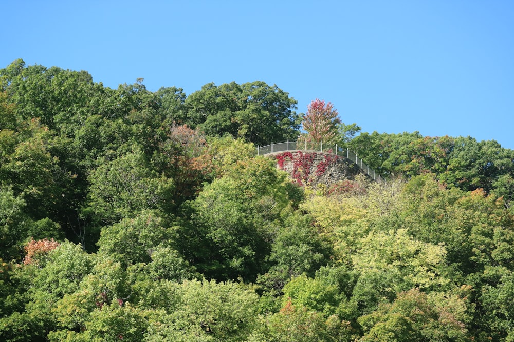 a red structure in the middle of a forest