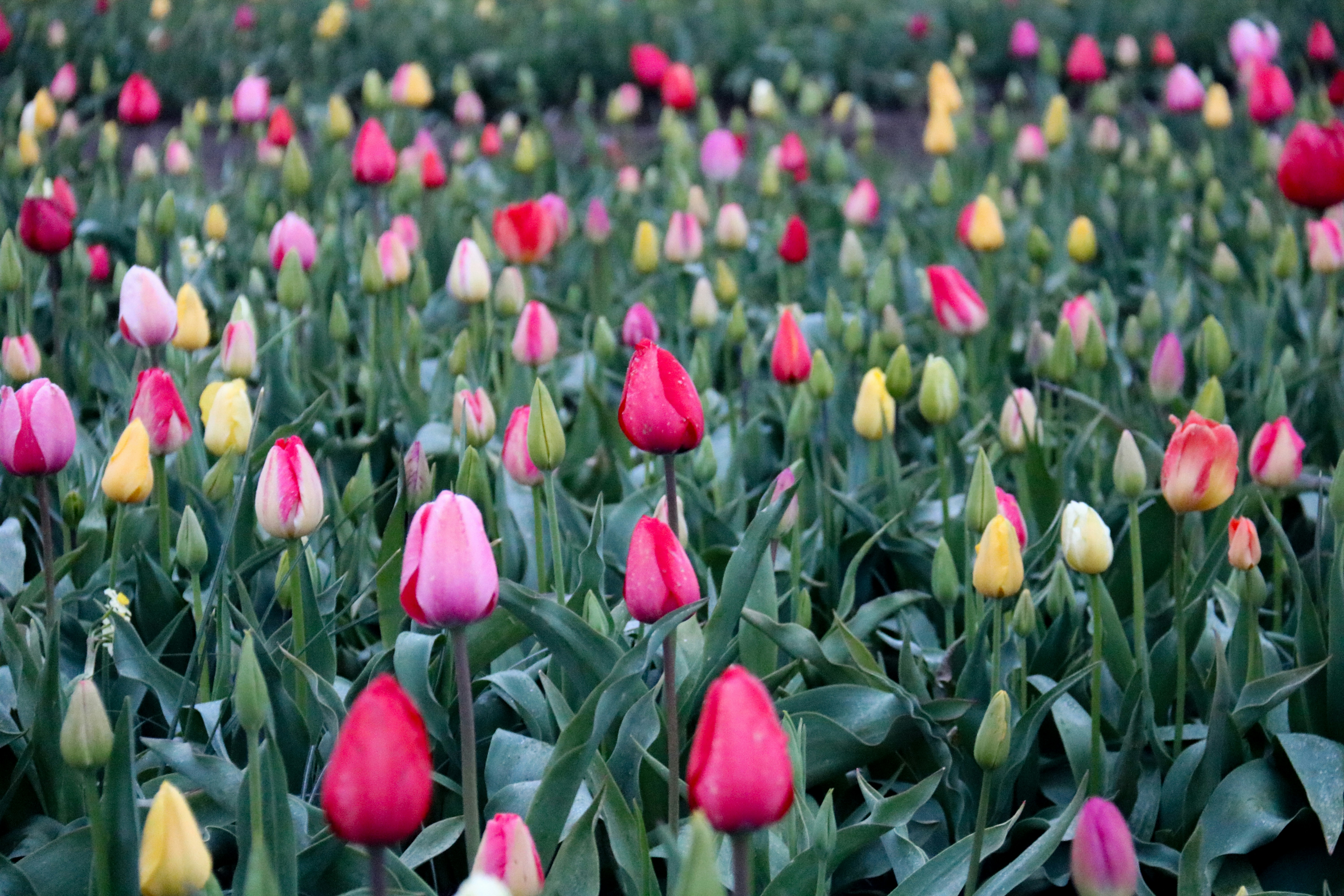 Photo by photoswithalexa