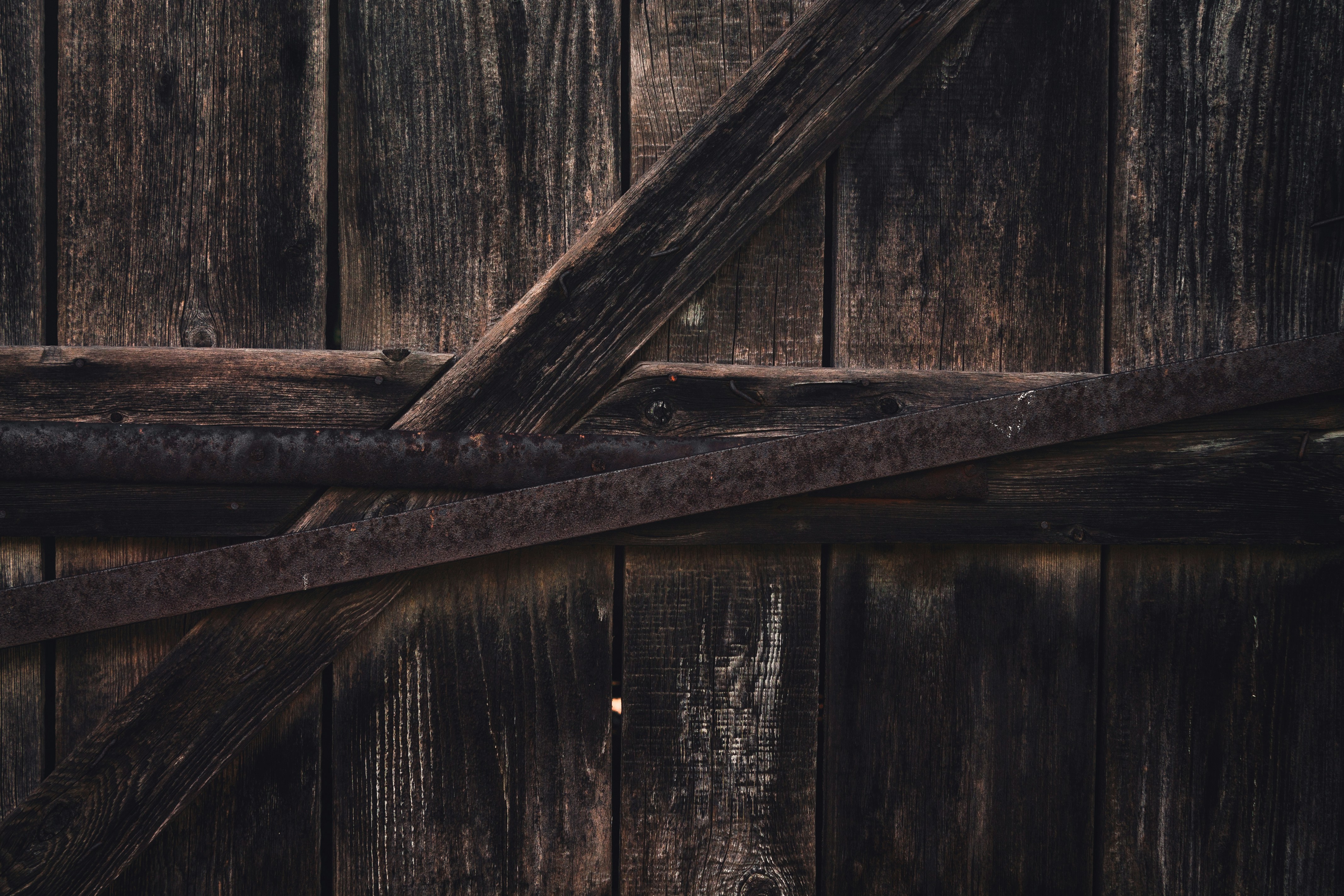 Photo by czapp_botond