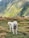 a white dog holding a stick in its mouth